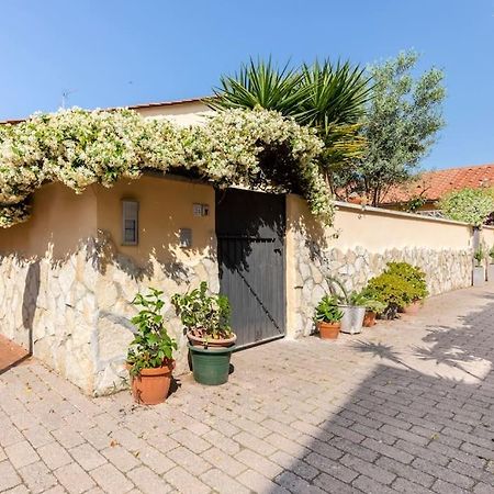 Casa “Oasi Del Mare” Appartement Livorno Buitenkant foto